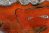 Colorful, Polished Condor Agate Section - Argentina #145518-1